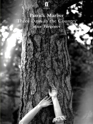 cover image of Three Days in the Country